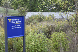 Embracing sustainability: WVU working toward greener campus